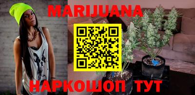 крисы Ипатово