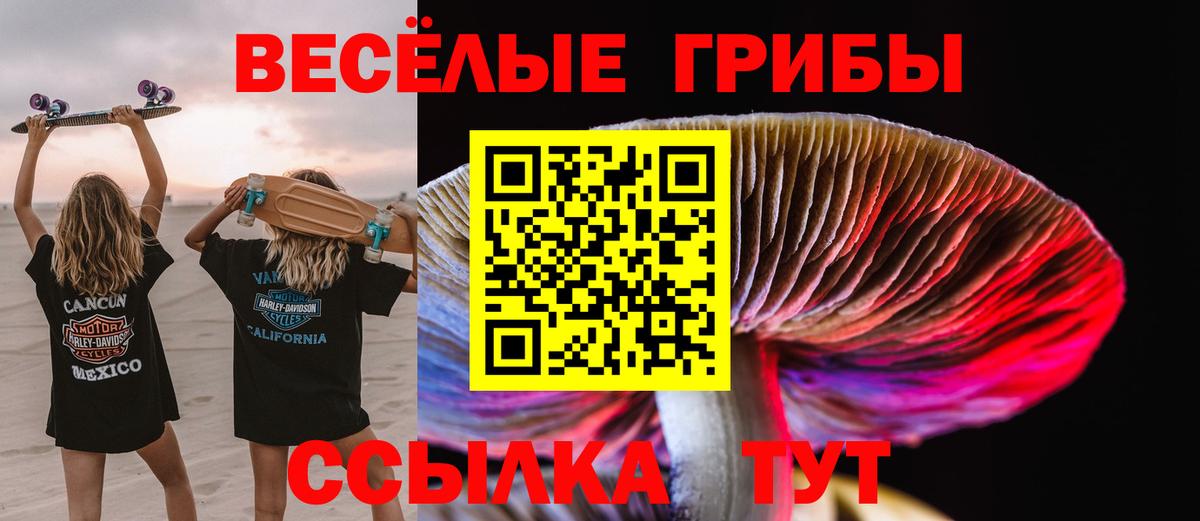 Псилоцибиновые грибы Psilocybe Кушва
